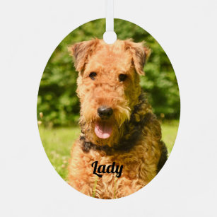 Airedale Terrier Puppy Dog Metal Ornament