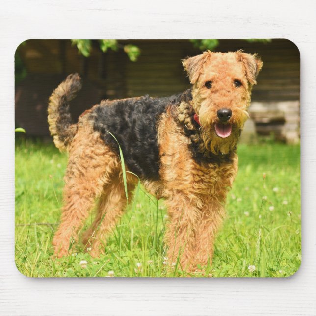 Airedale Terrier Puppy Dog Mouse Pad (Front)