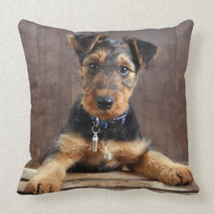 Airedale terrier puppy throw pillow