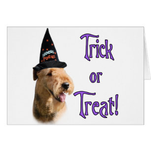 Airedale Terrier Trick