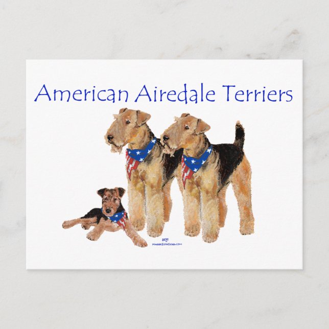 Airedale Terriers American Flag Postcard (Front)