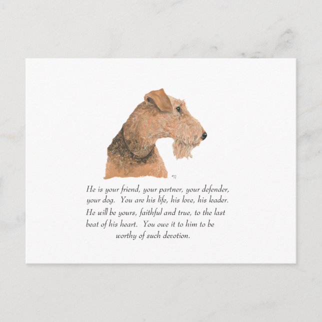 Airedale, Welsh, Lakeland Terrier Keepsake Postcard (Front)