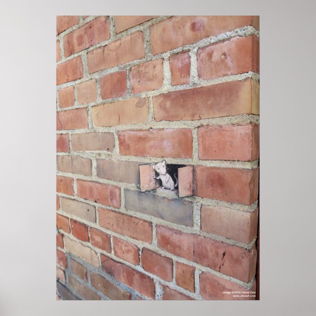 Airing Day Poster (Front)