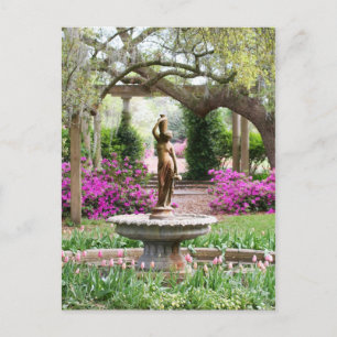 Airlie Gardens, Wilmington, NC Postcard