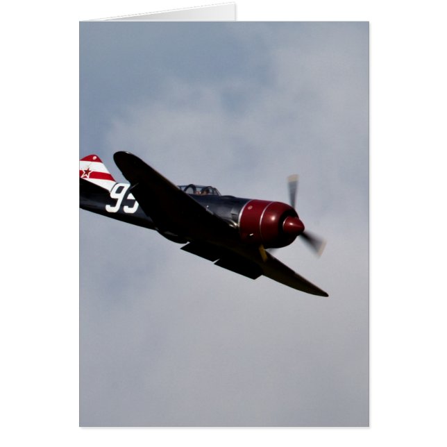 Airplane (Front)