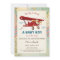 Airplane Baby Shower Invitation Travel Adventure