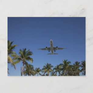 Airplane landing in Miami Postcard