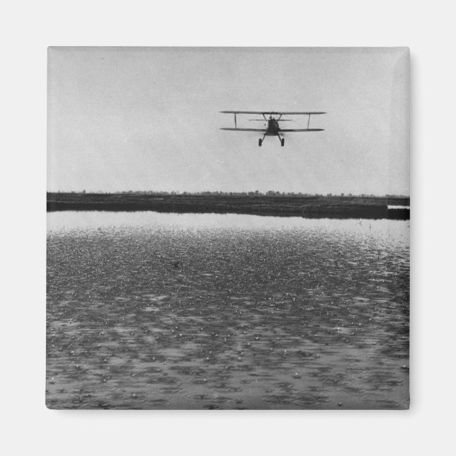 Airplane Magnet (Front)