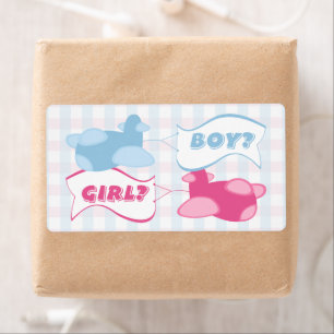 Airplanes and Banners Gingham Gender Reveal Party