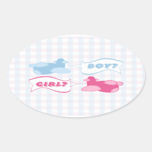 Airplanes and Banners Gingham Gender Reveal Party Oval Sticker