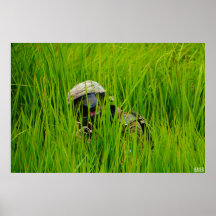 Airsofter in blades of sawgrass