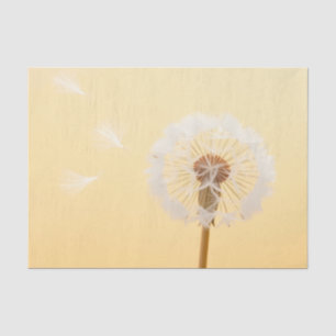 Airy Minimalist Dandelion Seeds Butter Yellow Tissue Paper