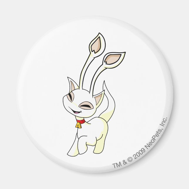 Aisha White Magnet (Front)