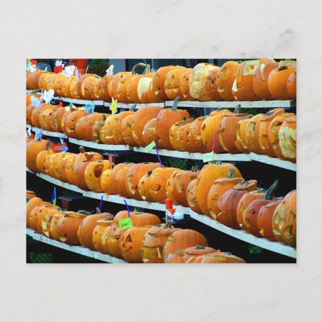 Aisle Seven Postcard (Front)