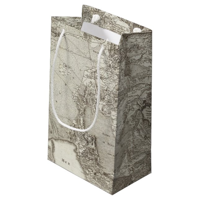 Aix Small Gift Bag (Back Angled)
