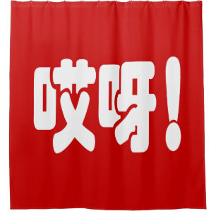 Aiya! 哎呀! OMG! Chinese Hanzi Language