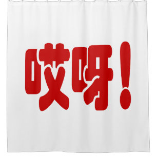 Aiya! 哎呀! OMG! Chinese Hanzi Language