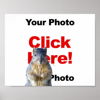 Ajouter un écureuil personnalisé Photo Poster