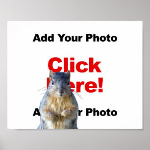 Ajouter une affiche photo personnalisée d'un écure
