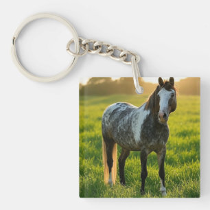 Ajouter une Personnaliser photo de cheval