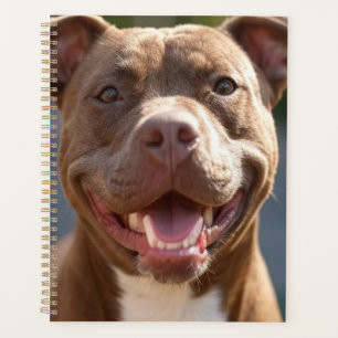 Ajouter une Personnaliser photo Pit Bull