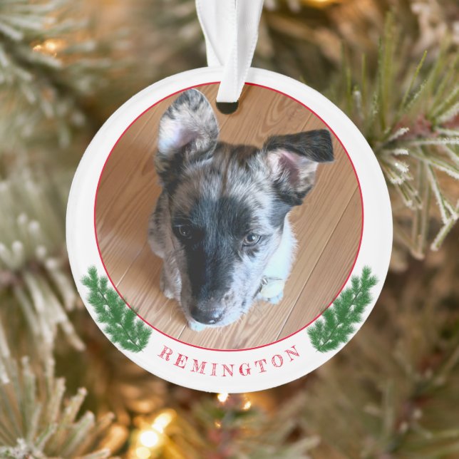 Ajouter Votre Adorable Photo Personnalisée Chiot D (Arbre)