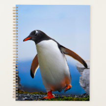 Ajouter Votre Propre Modèle photo Image Cadeaux Pe