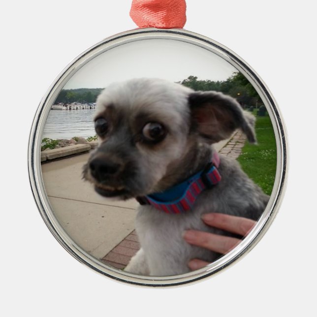 Ajoutez la photo de votre chien à cet ornement (Devant)