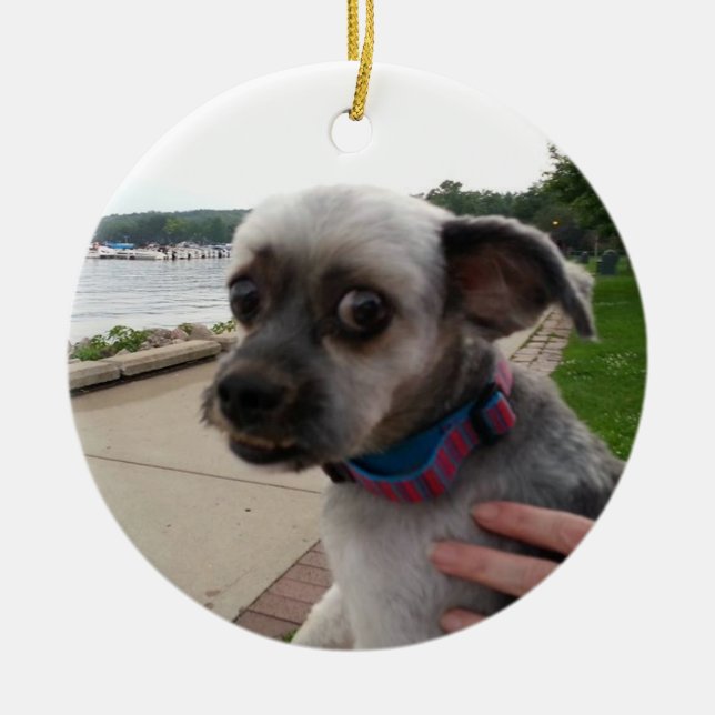 Ajoutez la photo de votre chien à cet ornement (Devant)