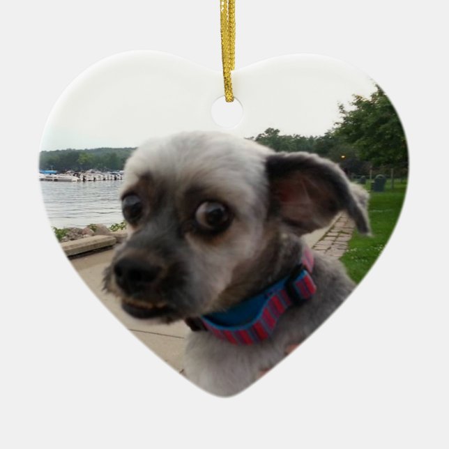 Ajoutez la photo de votre chien à cet ornement (Devant)