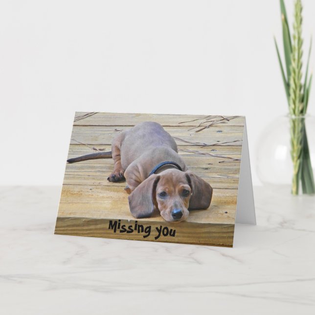 AK- Funny Dachshund Missing You Card (Front)