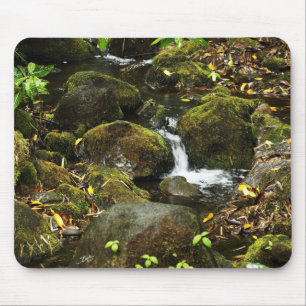 Akaka Fall smaller trail stream 2 Mouse Pad