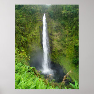 Akaka Falls, Hawaii Poster
