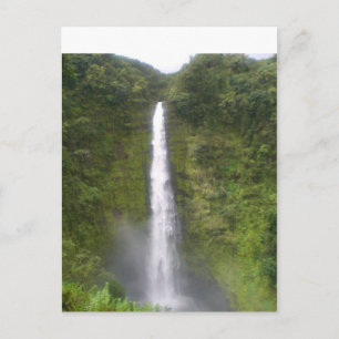 Akaka Falls Hilo, Hawaii Postcard