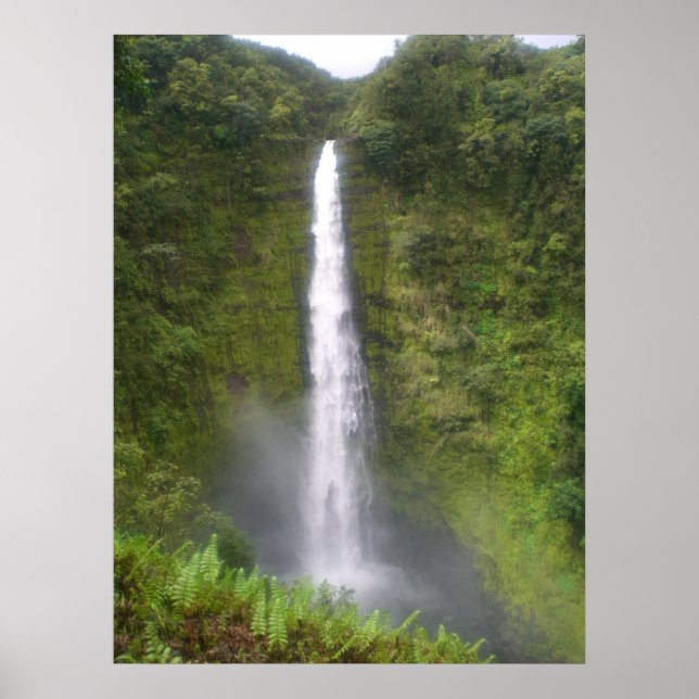 Akaka Falls Hilo, Hawaii Poster (Front)