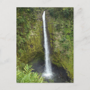 Akaka Falls Postcard
