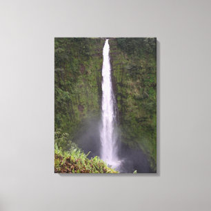 Akaka Falls Waterfall in Hawaii Canvas Print