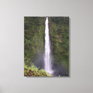 Akaka Falls Waterfall in Hawaii Canvas Print