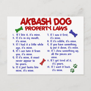 AKBASH DOG Property Laws 2 Postcard