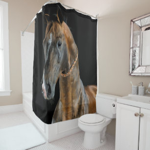 Akhal-Teke Horse