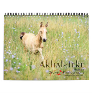 Akhal-Teke Horses 2 Calendar