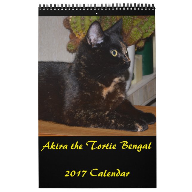 Akira the Tortie Bengal 2017 Medium Calendar (Cover)