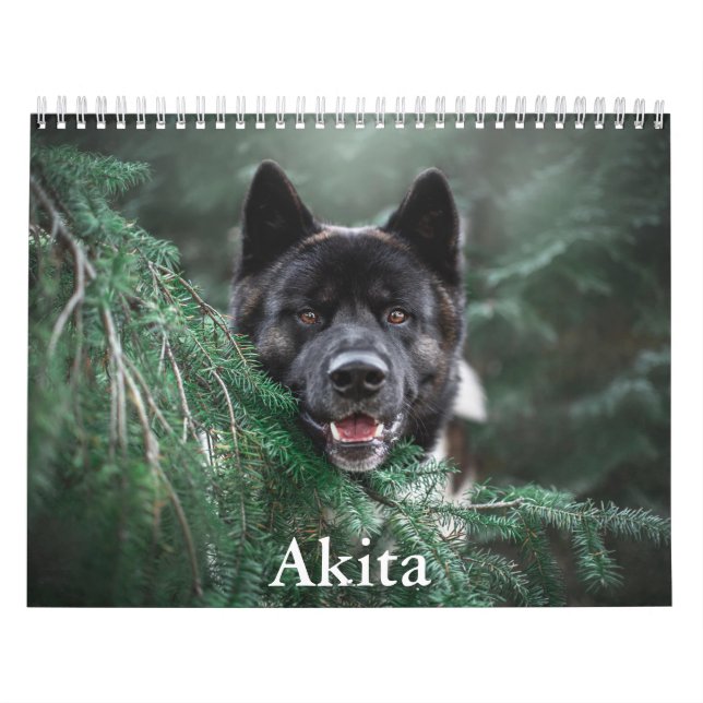 Akita Calendar (Cover)