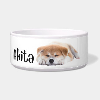 Akita - dog breed bowl
