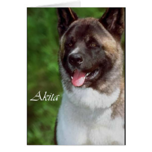 Akita Dons d'Art