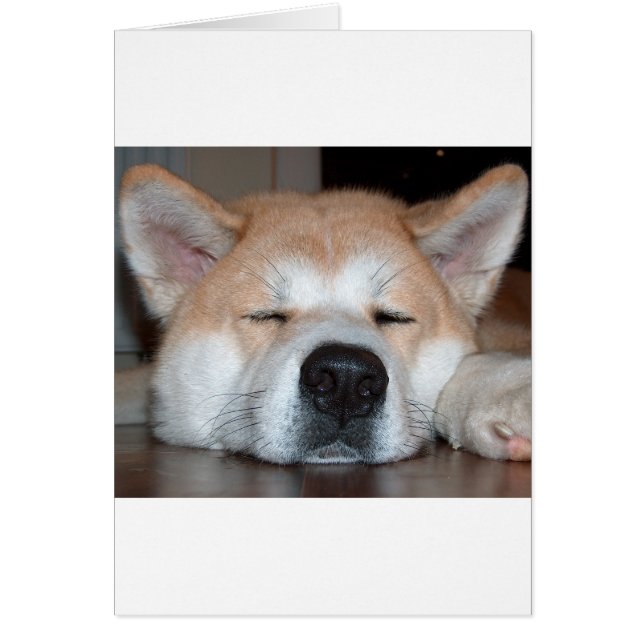 akita dormir.png (Devant)