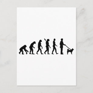 Akita Evolution Postcard