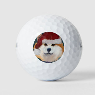 AKITA         GOLF BALLS