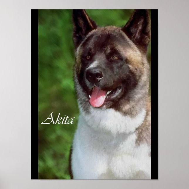 Akita Lovers Posters et Imprimés (Devant)
