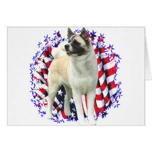 Akita Patriot